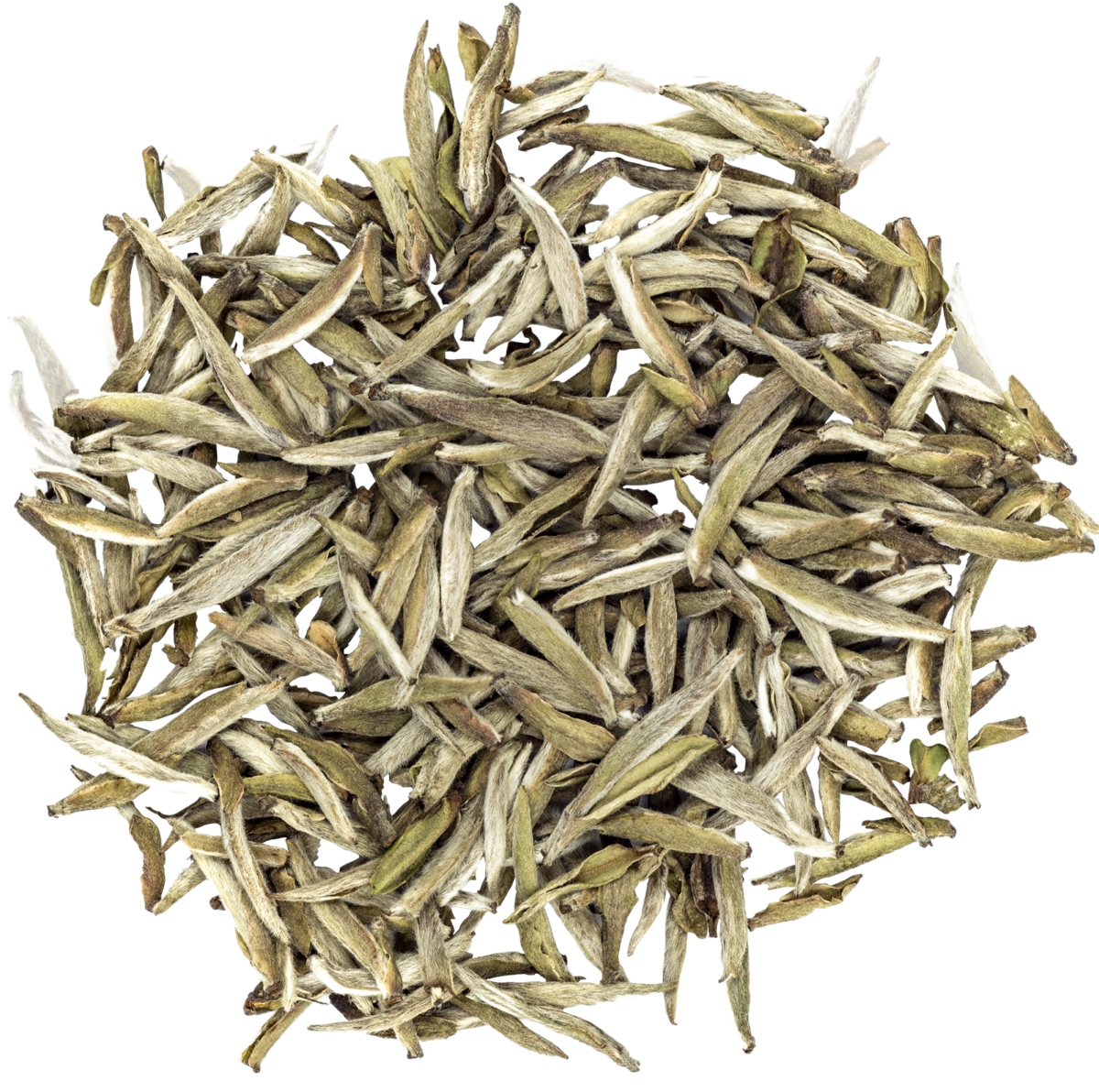 Morning &middot; gōng-fū gyokuro